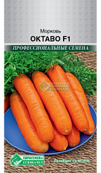 Морковь Октаво