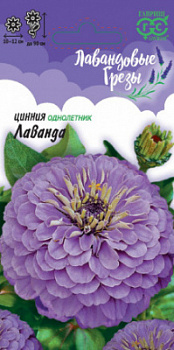 Циннния лаванда