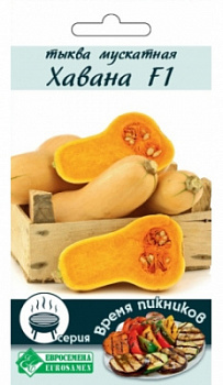 Тыква Хавана