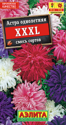 Астра ХХХL, смесь сортов_ЦП