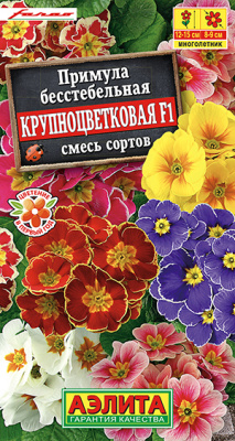 Примула Крупноцветковая F1, смесь сортов_ЦП