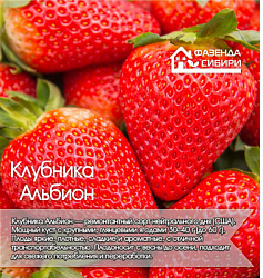 Альбион АСТ