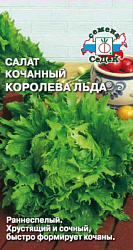 salat_koroleva_lda
