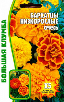 barhatcy-nizkoroslye-smes-750x750