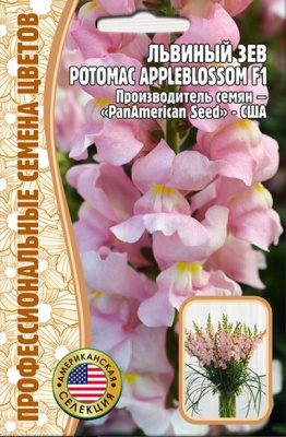Львиный зев эплблоссом