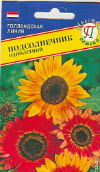 Подсолнечник смесь
