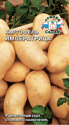 kartofel_imperatritsa