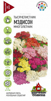 Семена Тысячелистник Мэдисон