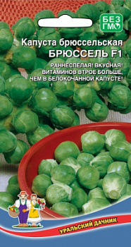 kapusta-bryusselskaya-bryussel-f1