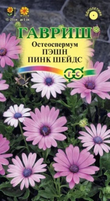 Пэшн пинк шейдс