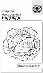 Надежда бп