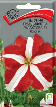 petunia_grandiflora_galaktika_f1_krasnaya