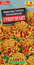 Бархатцы Супергигант отклоненные_ЦП