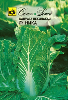 kapusta_pekinskaya_nika