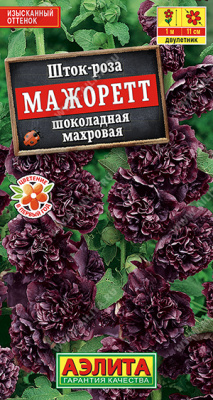 Шток-роза Мажоретт
