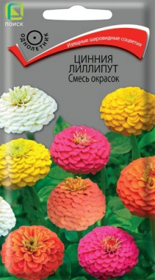 Цинния изящная Лилипут