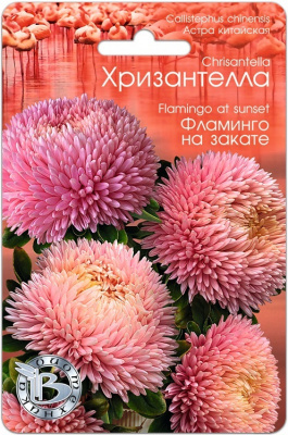 Фламинго