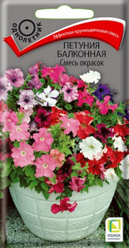 petunia_balkon_smes_okrasok