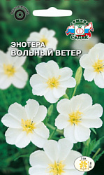 enotera_volnyy_veter