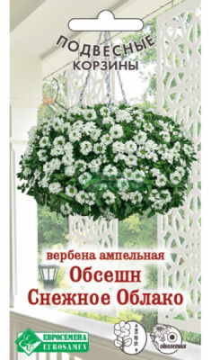 Вербена Обсешн Снежное Облако
