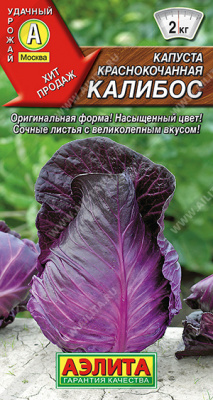 Капуста кк Калибос