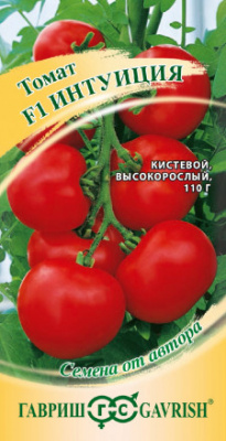 Интуиция
