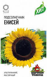 Енисей