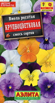 Виола Крупноцветковая