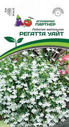 Лобелия регатта уайт