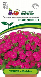 Петуния жаклин