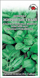 Шпинат Жирнолистный