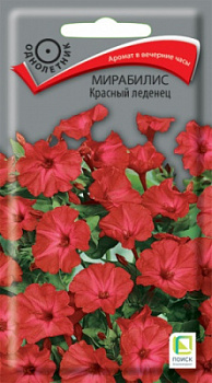 mirabilis_krasny_ledenec