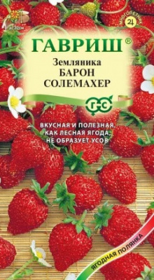 Земляника Барон Солемахер