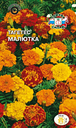 tagetes_malyutka_smes