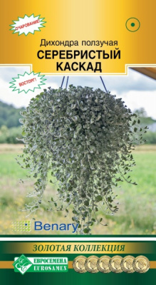 Дихондра ползучая Серебристый  Каскад
