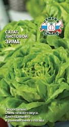 salat_zima