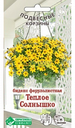 Биденс Теплое Солнышко