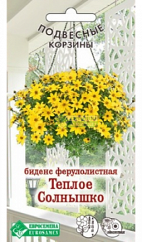 Биденс Теплое Солнышко