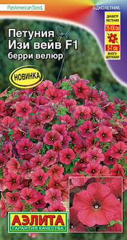 Петуния Изи вейв F1 берри велюр_ЦП