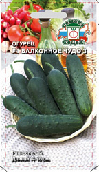 ogurets_balkonnoe_chudo_3_f1