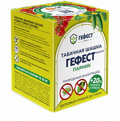 tsh_gefest_mini_07_2024_1_1x