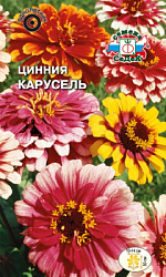 tsinniya_karusel