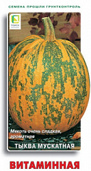 tykva_muskat_vitamin