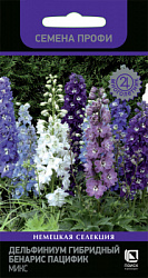 Delfinium-gibridniy-Benarys-Pacific-mix
