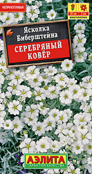 Ясколка Серебряный ковер_ЦП