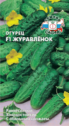 ogurets_zhuravlenok_f1