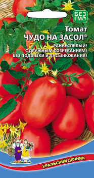 tomat-chudo-na-zasol