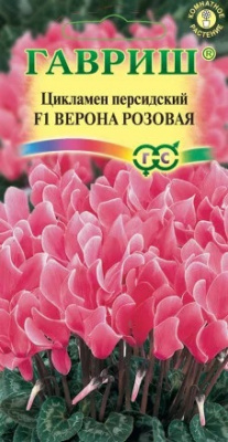 Цикламен Верона