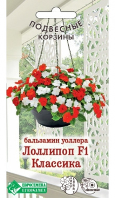 Бальзамин Лоллипоп Классика