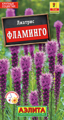 Лиатрис Фламинго_ЦП